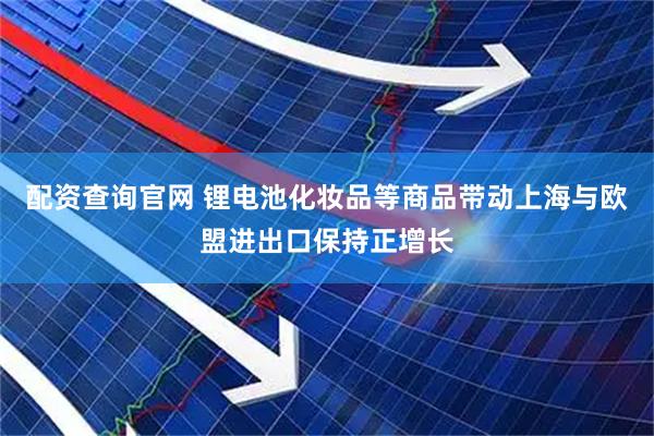配资查询官网 锂电池化妆品等商品带动上海与欧盟进出口保持正增长